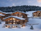 Programme Nue proprit - Nue Proprit Montagne (dmembrement de 12 ans avec occupation) / Dpartements 73, 74