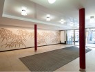 nue propriete investir
